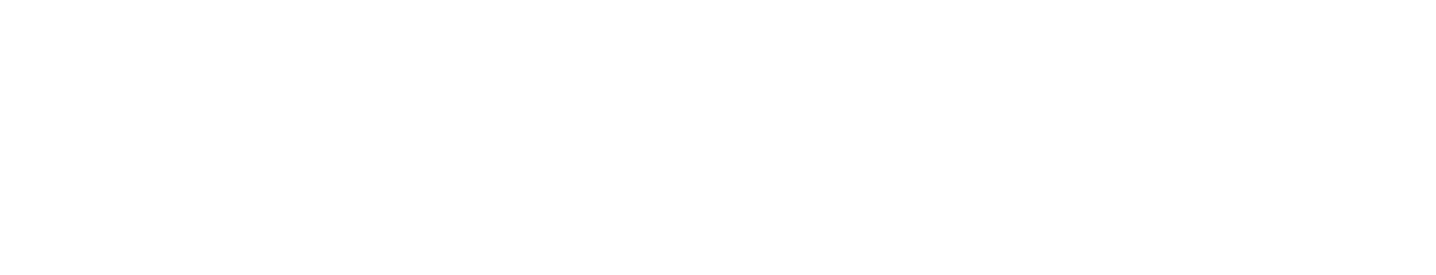 CANIK
